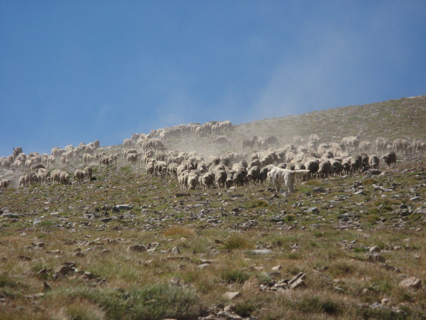 Les lacs de la Haute Guisane -6511accaeccec: /